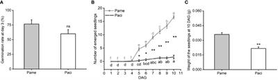 Rapid seedling emergence of invasive Phytolacca americana is related to higher soluble sugars produced by starch metabolism and photosynthesis compared to native P. acinosa